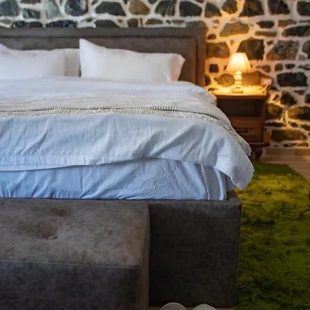 Bujtina Te Rapi Hotel *
